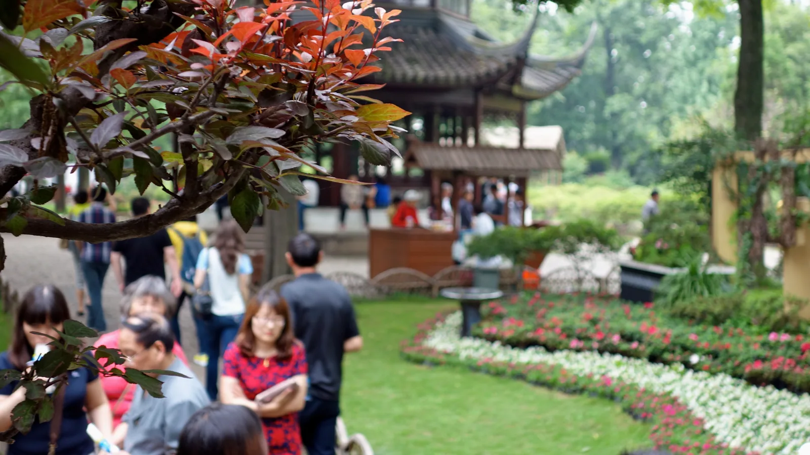 Suzhou Classic Garden & Ancient Town 1-Day Tour 2
