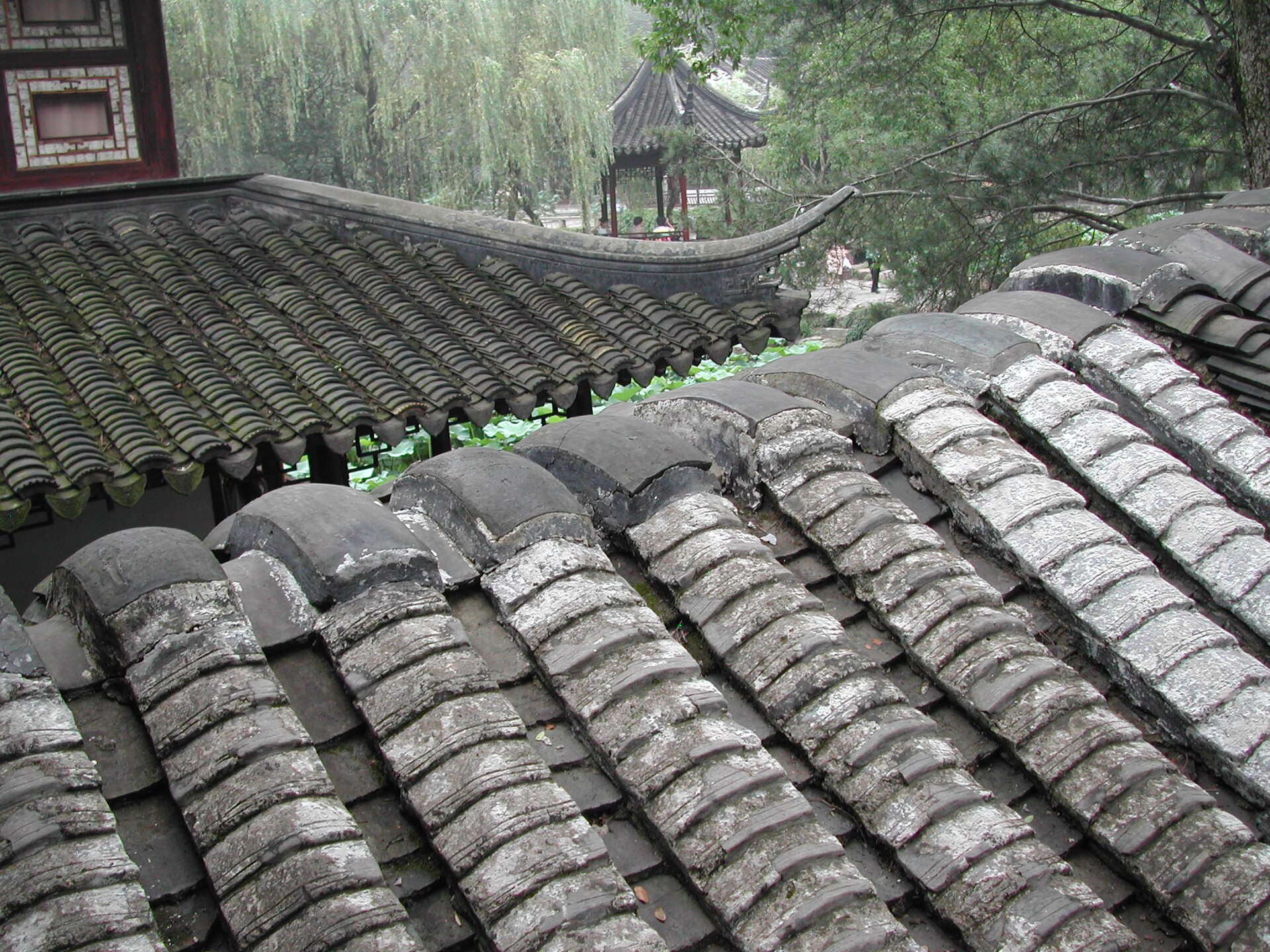 Suzhou Classic Garden & Ancient Town 1-Day Tour 4