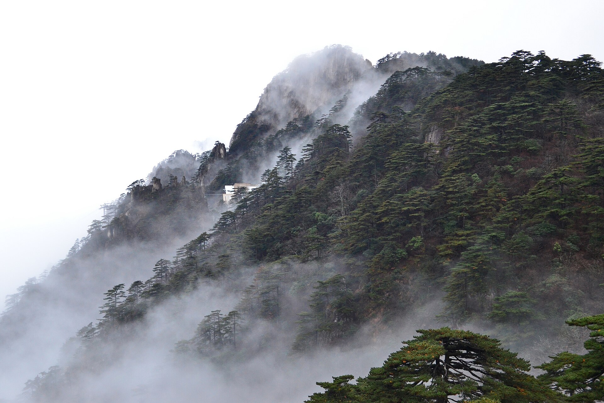 Huangshan In-depth Scenic Tour