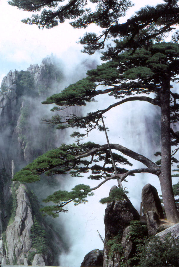 Huangshan In-depth Scenic Tour 3