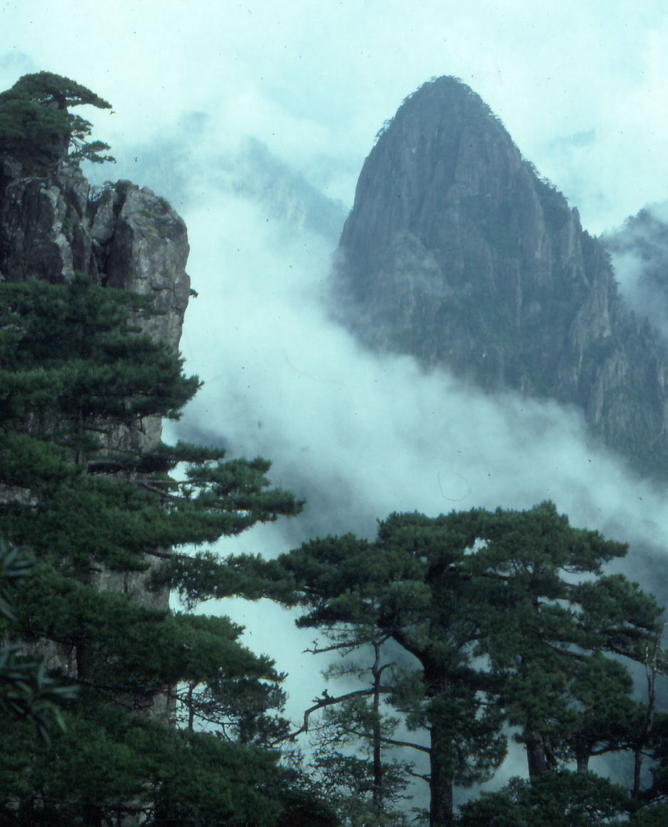 Huangshan In-depth Scenic Tour 4